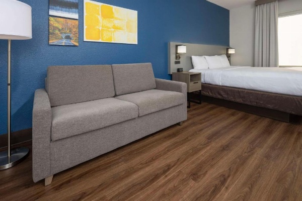 Comfort Suites Outlet Center image 20